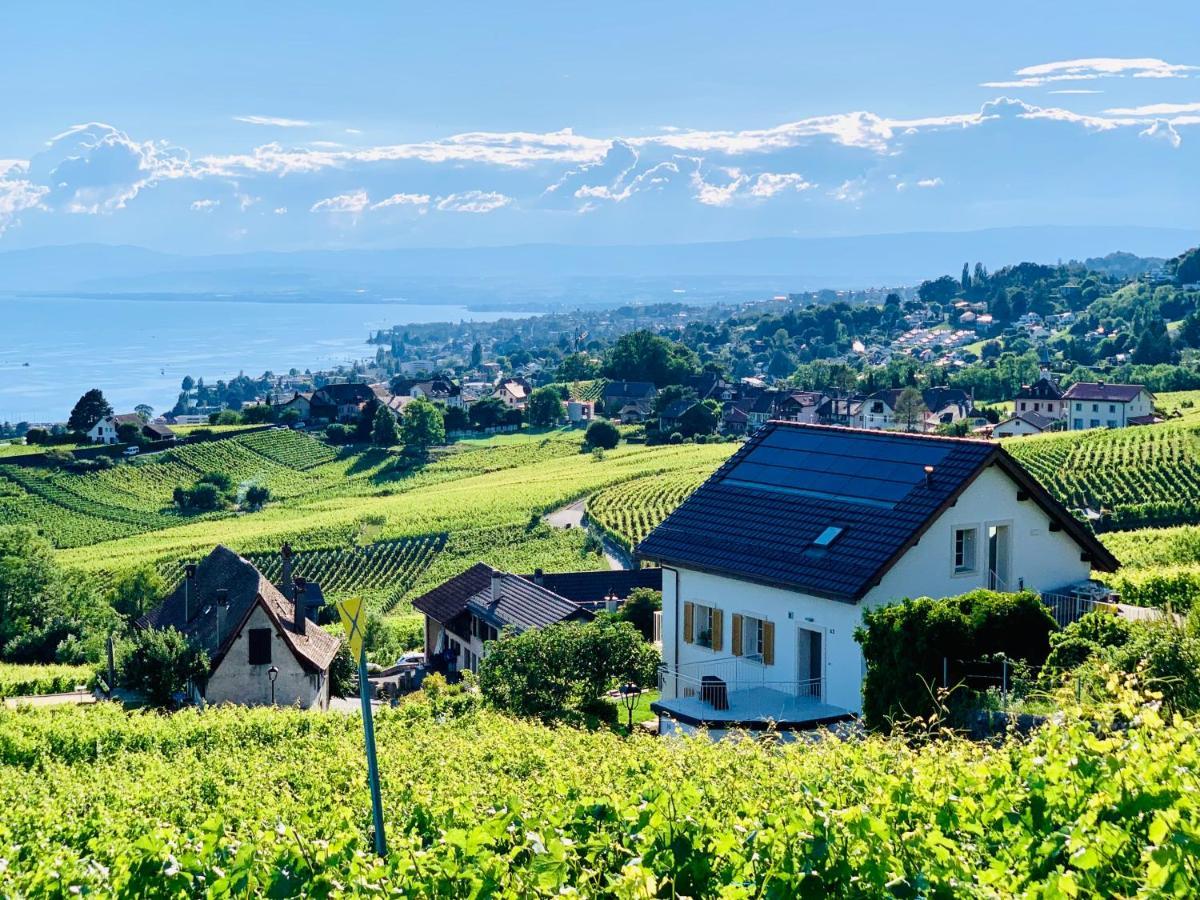 Hotel #Lavaux Lutry Esterno foto