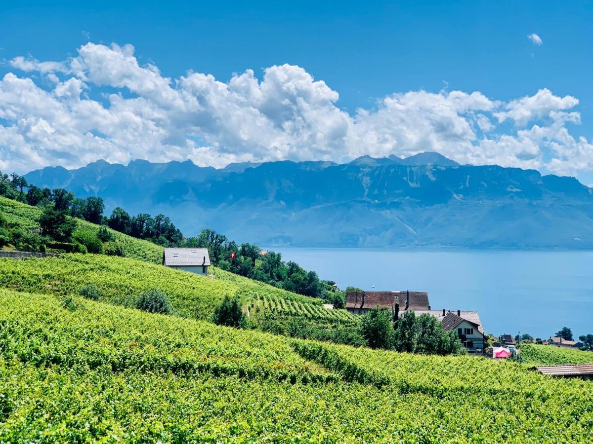 Hotel #Lavaux Lutry Esterno foto