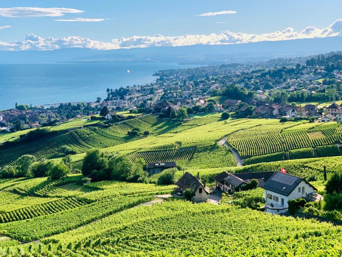 Hotel #Lavaux Lutry Esterno foto