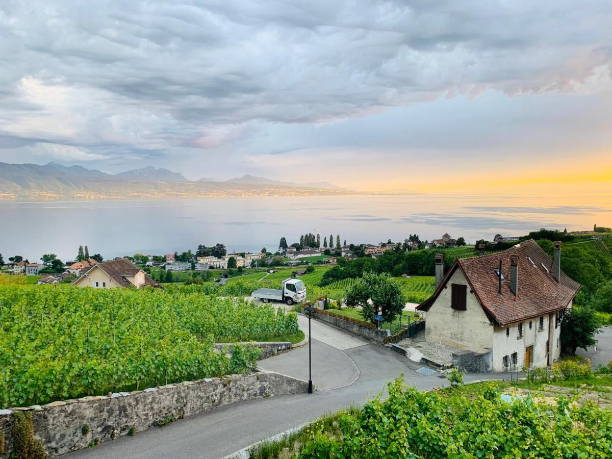 Hotel #Lavaux Lutry Esterno foto