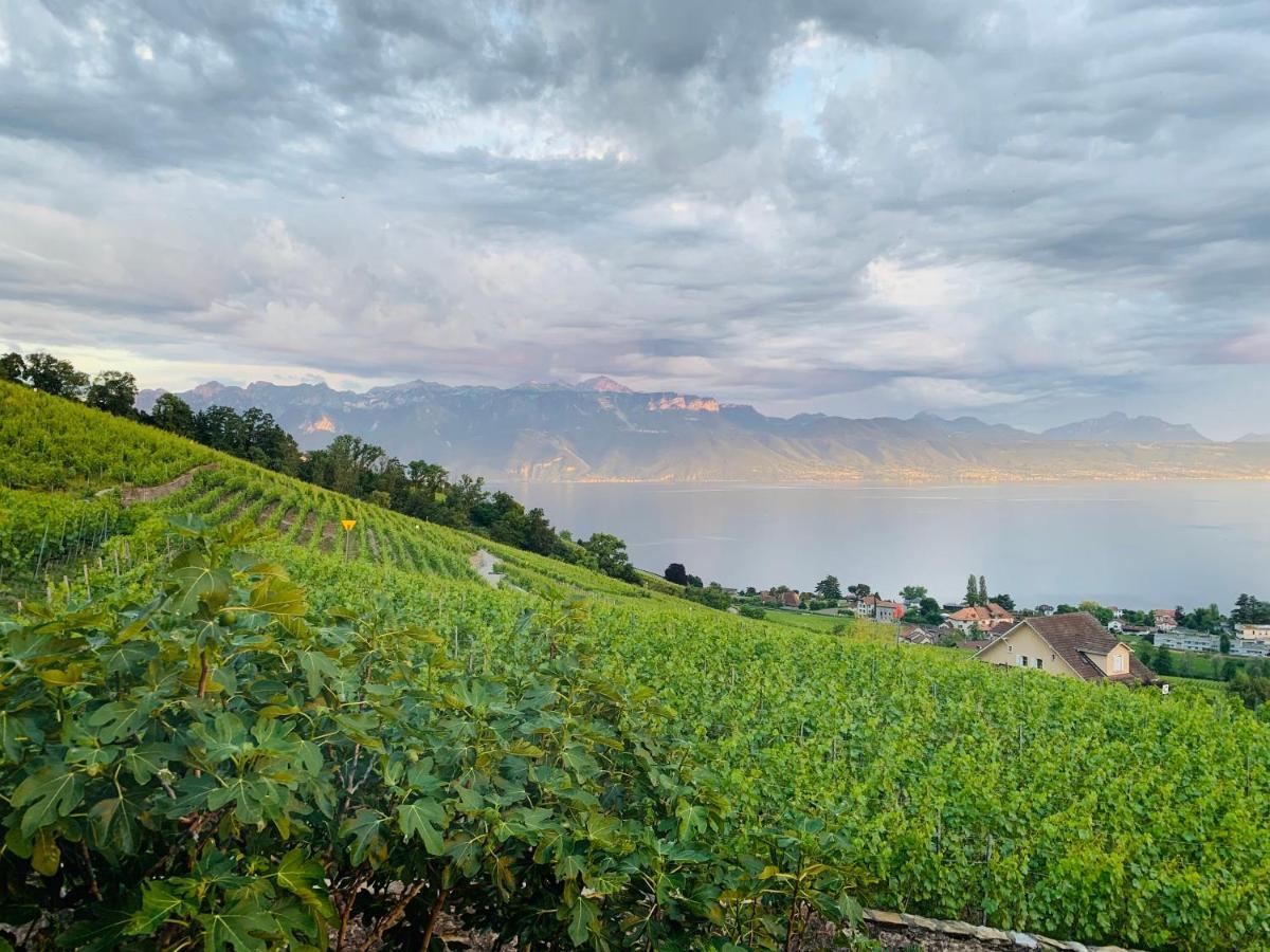 Hotel #Lavaux Lutry Esterno foto