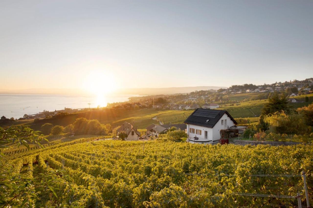Hotel #Lavaux Lutry Esterno foto